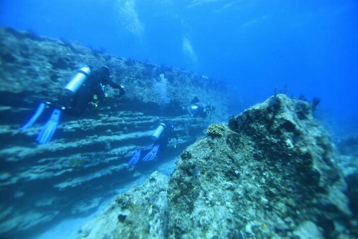 Buceo certificado en Cabo Pulmo con New Baja Mex Tours