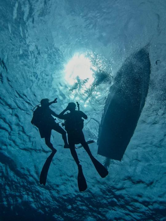 Buceo Discovery en Cabo Pulmo con New Baja Mex Tours