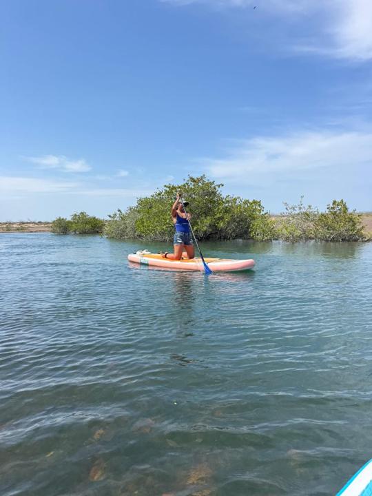 Combo 2 × 1 con New Baja Mex Tours