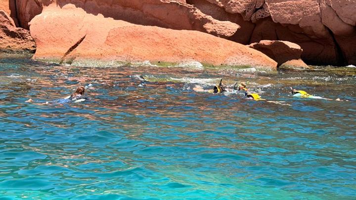Isla Espíritu Santo Punta Sur con New Baja Mex Tours