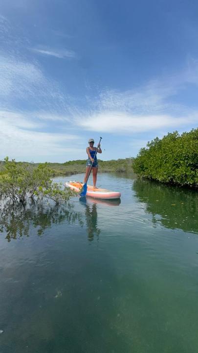 Sandboarding, kayak y paddle con New Baja Mex Tours