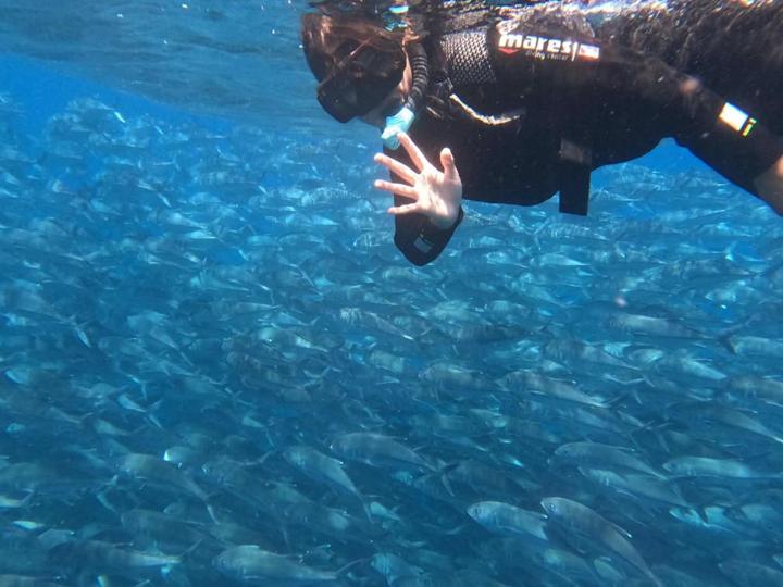Snorkel en Cabo Pulmo con New Baja Mex Tours