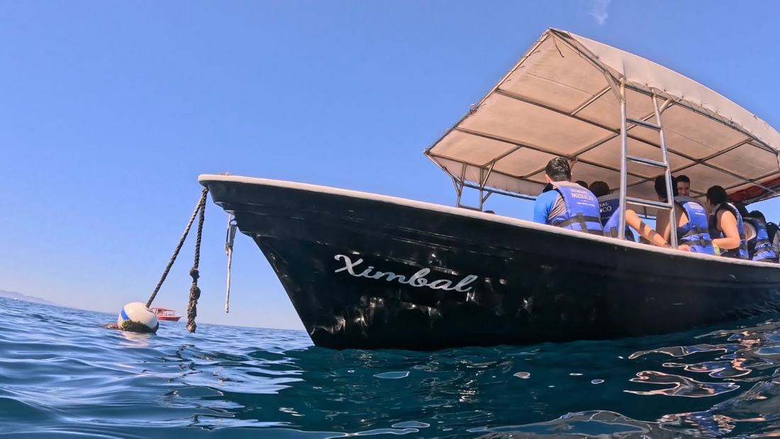 Embarcación de New Baja Mex Tours