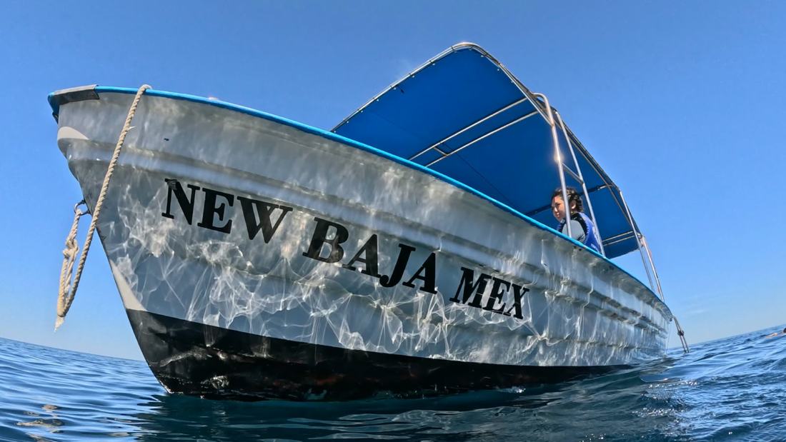 Embarcación de New Baja Mex Tours